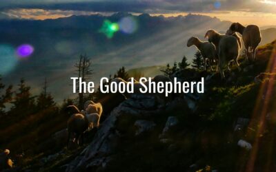 The Good Shepherd