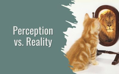 Perception vs. Reality