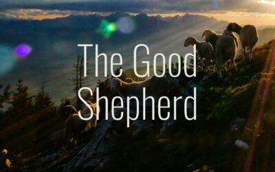 The Good Shepherd