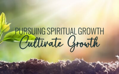 Pursuing Spiritual Growth Part 3