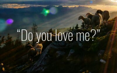 Communion Meditation: “Do you love me?”