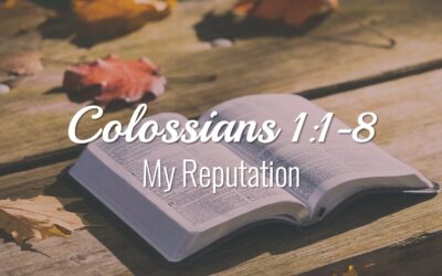 Colossians: My Reputation