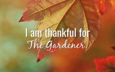 I’m thankful for The Gardener.