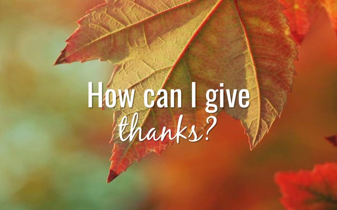 How can I give thanks?